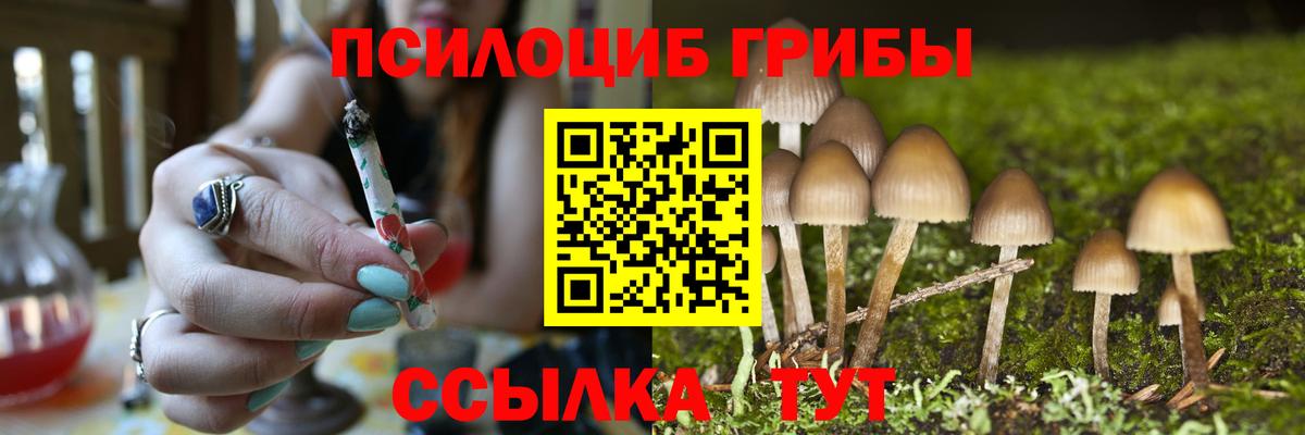 Красногорск  Галлюциногенные грибы Magic Shrooms  Галлюциногенные грибы Cubensis  Вход с VPN 